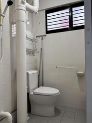Blk 244 Hougang Heights (Hougang), HDB 3 Rooms #582483711